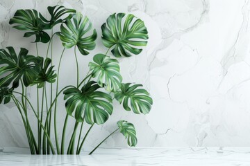 Several lush green plants are arranged neatly on a clean white counter in a well-lit room.