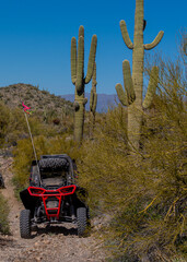 Off-road vehicle in the Arizona desert with tall saguaros cactus