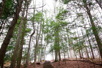 Whispering Cave, Hocking Hills State Park, Ohio