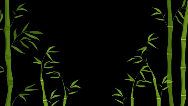 Green bamboo forest animated video