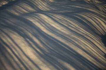 Snow in waves. Shadow on the snow. Winter abstraction.