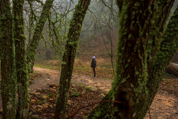 View through the trees of the mountain woman