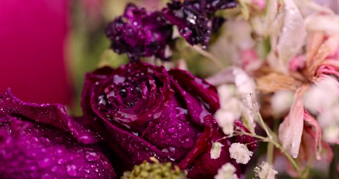 A combined bouquet of different types of flowers in close-up, beautiful dried flowers in a gift bouquet in drops of water