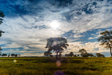 Céu - Rondonópolis - Mato Grosso - Brasil