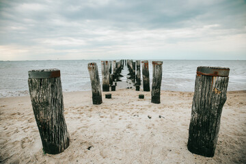 sea wooden pier in the sea on a cloudy day. Wadden Sea Coast and wooden pillars .Low tide time. - obrazy, fototapety, plakaty