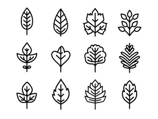 leaves beautiful, black thin line, white background