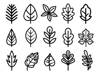 leaves beautiful, black thin line, white background