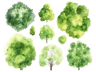 watercolor top view plan set of trees, green color palette,  isolated on white background