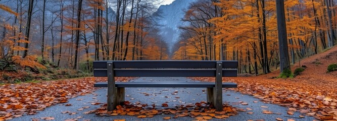 Solitary Park Bench in Autumn