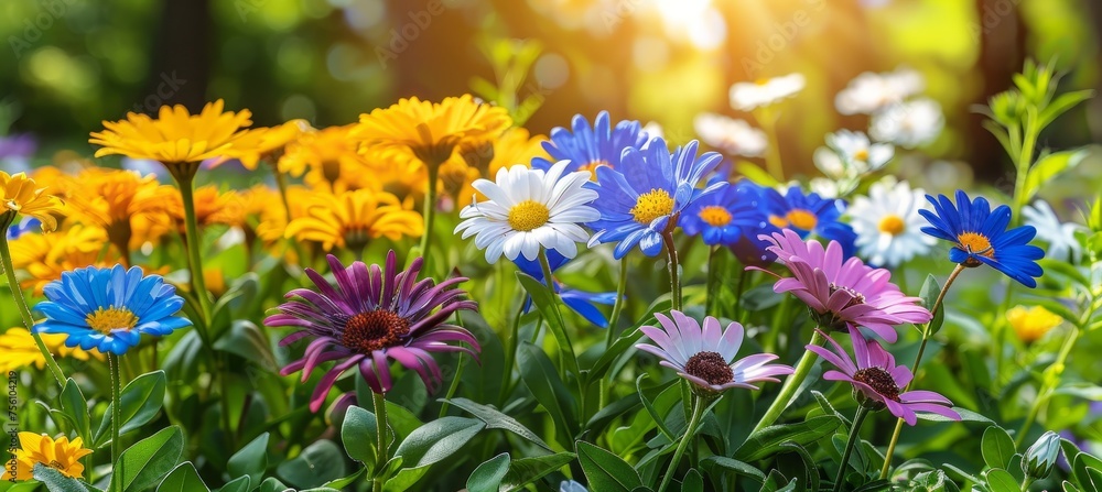 Poster vibrant spring blooms abstract pattern with sunlight and shadows for unique backgrounds