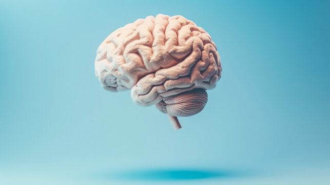 A brain is shown in a close up on a blue background. The brain is pink and fuzzy, giving it a soft and gentle appearance. Concept of curiosity and wonder about the complexities of the human brain
