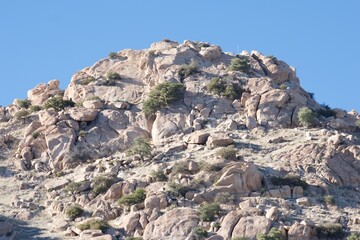 New Mexico Rocks