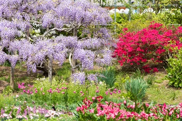 Deurstickers 日本の風景・春　あしかがフラワーパーク　多種多彩な花々 © Yuta1127