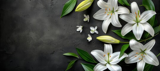 Funeral lily on dark backdrop with space for text, somber floral arrangement on black background - obrazy, fototapety, plakaty
