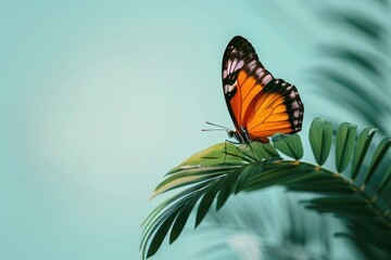 Fototapeta na wymiar A single vibrant butterfly perched on a simple