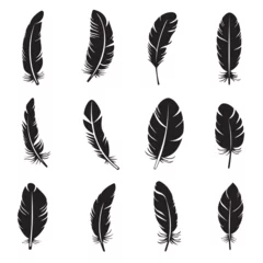 Papier Peint photo Plumes Feather in cartoon, doodle style . Image for t-shirt, web, mobile apps and ui. Isolated 2d vector illustration in logo, icon, sketch style, Eps 10, black and white. AI Generative