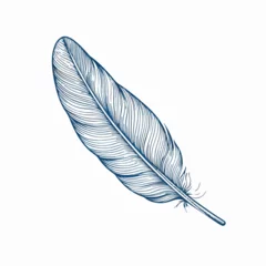 Tableaux sur verre Plumes Feather in cartoon, doodle style. Image for t-shirt, web, mobile apps and ui. Isolated 2d vector illustration in logo, icon, sketch style, Eps 10. AI Generative