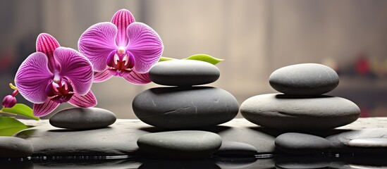 A purple orchid, a terrestrial plant, is elegantly positioned on a stack of rocks, showcasing its vibrant petals. The flowerpot adds a touch of elegance to the scene
