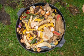 worms in a compost bin in a garden, microorganisms and soil biology, with nematodes and fungi under...