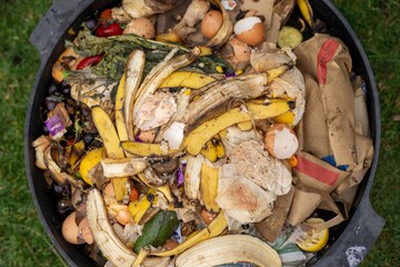worms in a compost bin in a garden, microorganisms and soil biology, with nematodes and fungi under the microscope..
