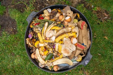 worms in compost pile. making a thermophilic compost with soil biology for fertilizer on a farm in a mesh ring in soil
