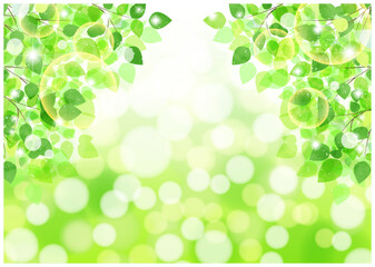 新緑、背景、5月、キラキラ、爽やか、アーチ、横型