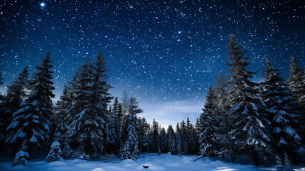 Fototapeta na wymiar Snow forest and star sky