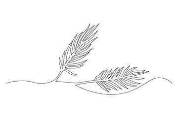 Continuous Line Art of Feathers. Vector illustration. EPS 10.