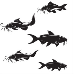 silhouette catfish