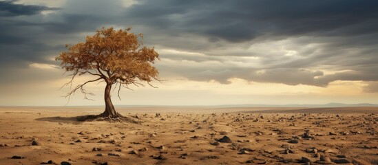 A lone tree stands tall in the middle of a desert landscape, with a cloudy sky and cumulus clouds in the background, its twisted trunk and twigs reaching towards the horizon