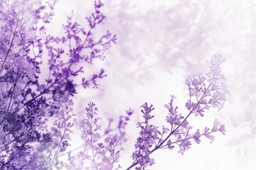 Obraz premium X-Ray Luminogeam Refractograph Photography