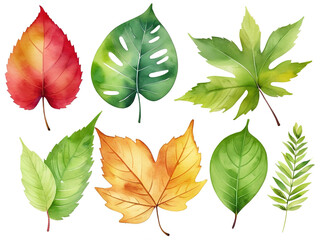 Watercolor set of autumn leaves isolated on white background. Vector illustration.