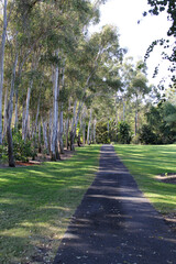 Path, grass and trees at the Kershaw Gardens in Rockhampton, Queensland, Australia