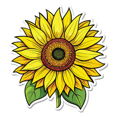 Fototapeta premium Sticker a yellow sunflower with green leaves
