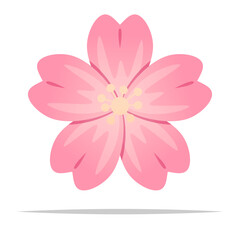 Cherry blossom flower vector isolated illustration - 756136076