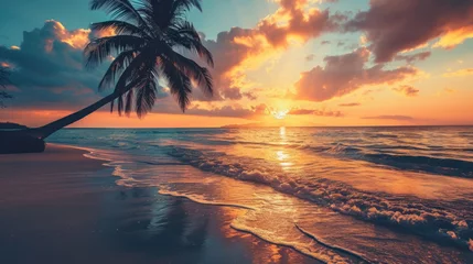 Foto op Plexiglas Bestemmingen beach and palm on sea with nice sky background
