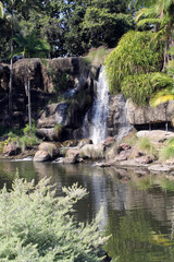 Fototapeta na wymiar Waterfall and plants at the Kershaw Gardens in Rockhampton, Queensland, Australia