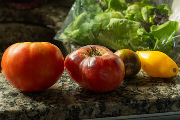 photography of different varieties of tomatoes