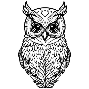 animal owl brave with floral spring illustration sketch hand draw