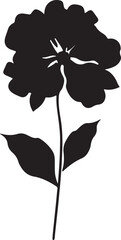 Hydrangea Flower Silhouette Vector Illustration White Background