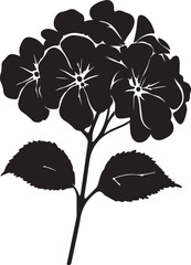 Hydrangea Flower Silhouette Vector Illustration White Background