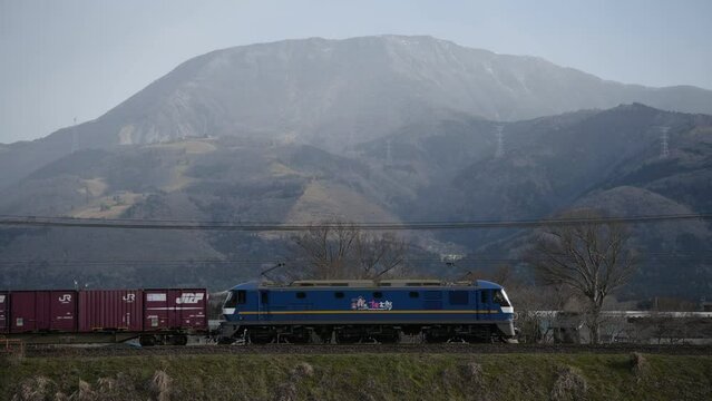 伊吹山を背景に走るEF210牽引の貨物列車 （東海道本線 近江長岡 - 柏原, 2024年3月）