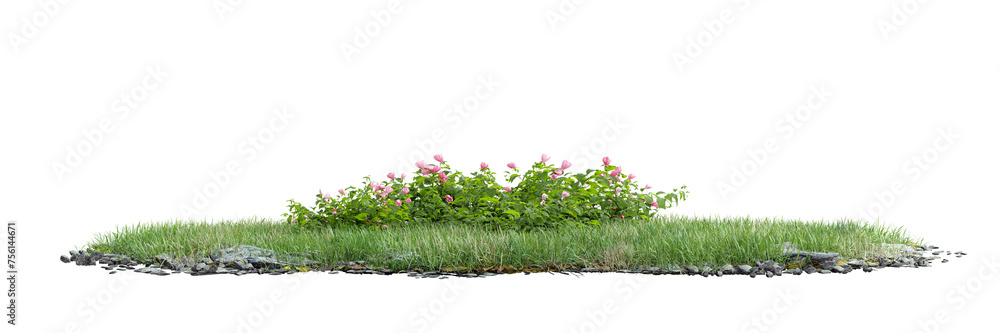 Poster unit green grass on transparent background 3d rendering png