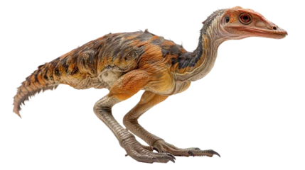 Raamstickers This image shows a highly detailed and realistic model of a young dinosaur with feathers, signifying the connection between birds and dinosaurs © Daniel