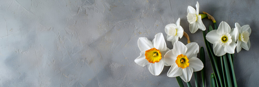 Banner with bouquet of white daffodil flowers, generative ai