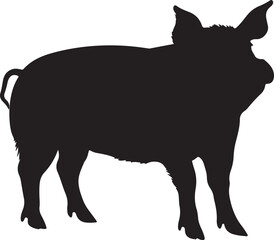 Pig Silhouette Vector Illustration White Background