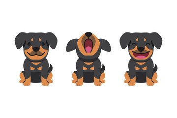 Set of vector cartoon character cute rottweiler dog for design.
