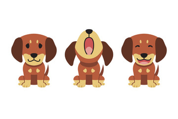 Set of vector cartoon character cute dachshund dog for design.