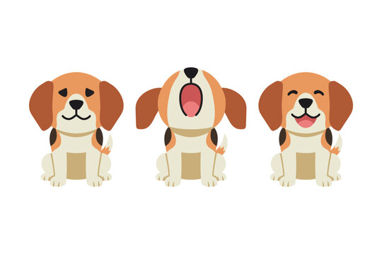 Set of vector cartoon character cute beagle dog for design.