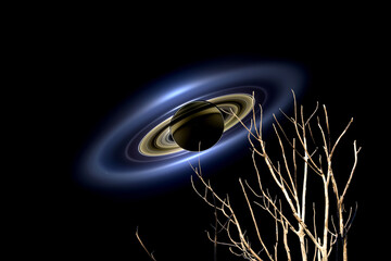 Saturn back dry branch tree dark blue night sky